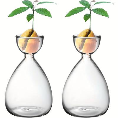 2 pièces Petit Vase de Germination pour Noyau d'Avocat, Kit de Croissance pour Arbre Avocatier, Vase en Verre pour Planter Avocat Cadeau pour Amoureux du Jardinage