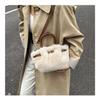 Winter Plush Bag Women's New Fashion Versatile Crossbody Bag Exquisite Handbag