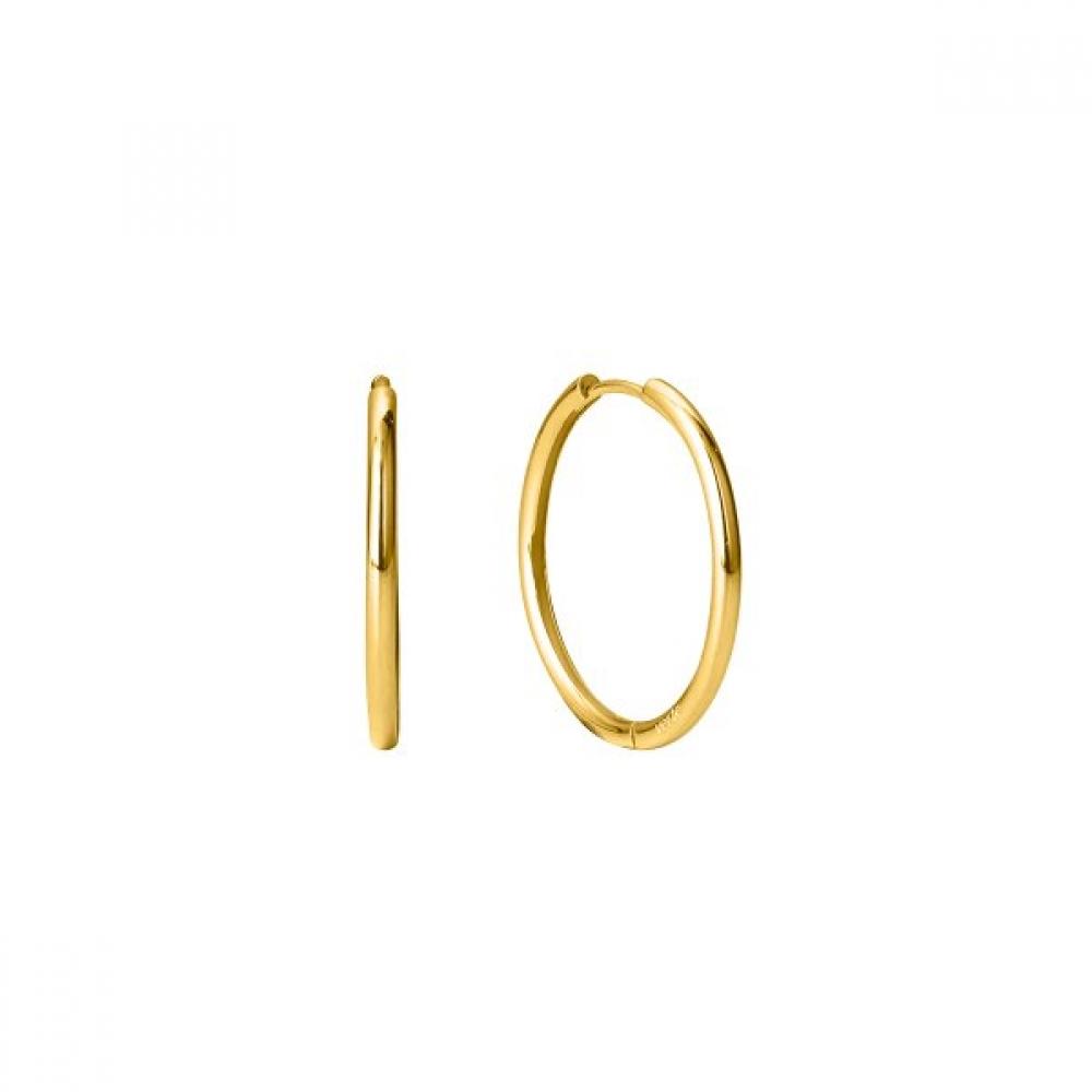Verte Grand Basic Earring  Gold    Deux.silver.228