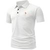 Men's Polo Shirts 3 Buttons Casual Work T Shirts Quick Dry Short Sleeve Golf Shirt for Outdoo