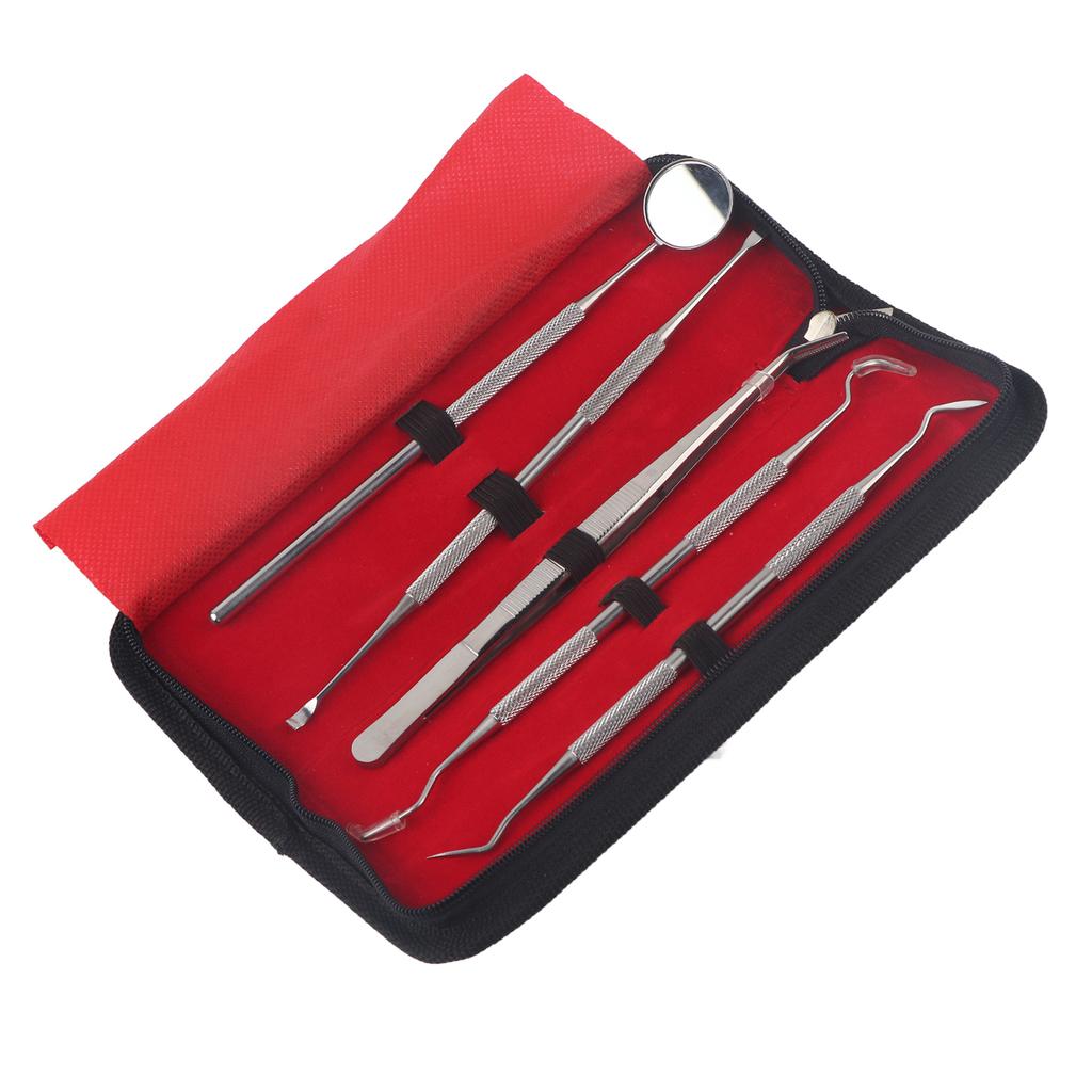 5Pcs Professional Stainless Steel Dentist Tools Set Dental Hygiene Cleaning  Kit