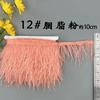 8-10 Ostrich Feather Cloth Edge Colorful Ostrich Hair Dress Performance Accessories Diy Decorative Material Feather Cloth Edge