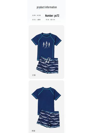 2025 New Boys' Sunscreen Swimwear Set: Toddler To Big Kid Split Swimsuit & Trunks