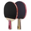 Set de Raquettes de Tennis de Table 4 Étoiles DHS