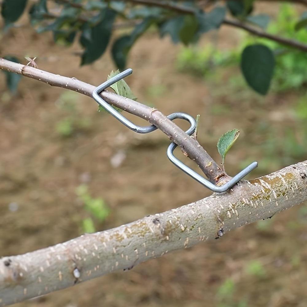 12cps, Obstbaum-Astformer, Astaufhänger-Abzieher, zum Formen von Obstbaumzweigen, Astbiegewerkzeug
