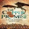 The Copper Promise Complete Novel by Jen Williams Paperback Book 9781472211125