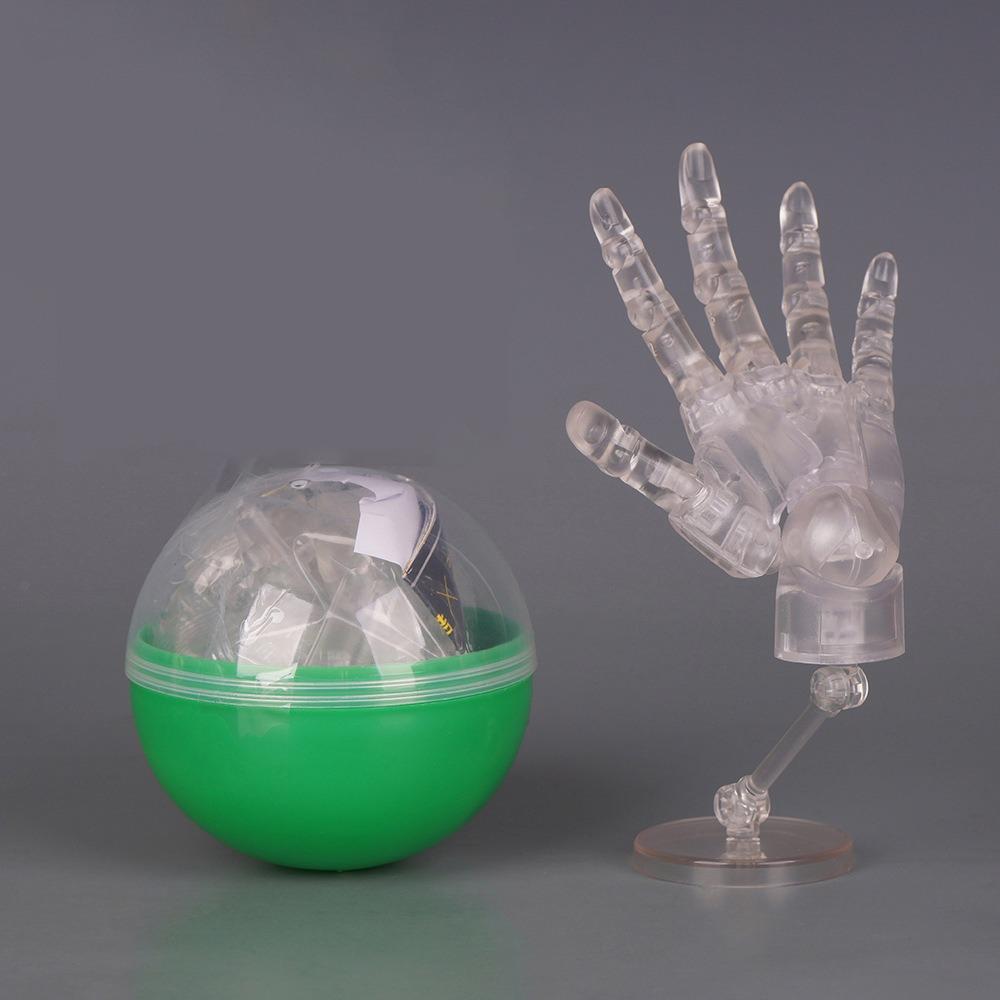1:2 Scale Human Hand Model Mini Size Twisted Egg Design Palm Model Movable Joints With Posable Fingers Movable Finger Joints