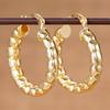 1 Pair, Fashionable, Fashionable, Versatile, High-end Earrings