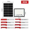 Lishi 80W Solar Starry Sky LED Floodlight
