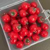 Resin Mini Fake Fruit Pendants 5Pcs Realistic Simulation Ornaments for DIY Greeting Card Decor Craft Making Supplies