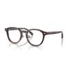 Eyeglasses 0RX5443D HAVANA VISTA 2012 49 Asian Fit Polarized