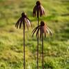 Weather Resistant Metal Daisy Stake Rusted Iron Curved Petal Stake Rustic Garden Art  Lawn Patio
