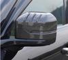 BYD Leopard Titanium 7 Rearview Mirror, Fuel Tank, Door Handle, Bowl, Trim, and Taillight Covers