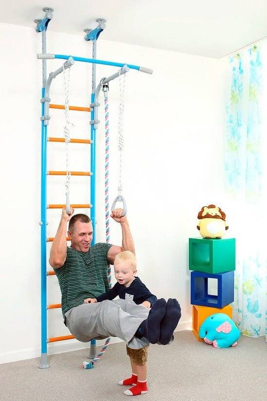 Wallbarz Family gymnastics ladder