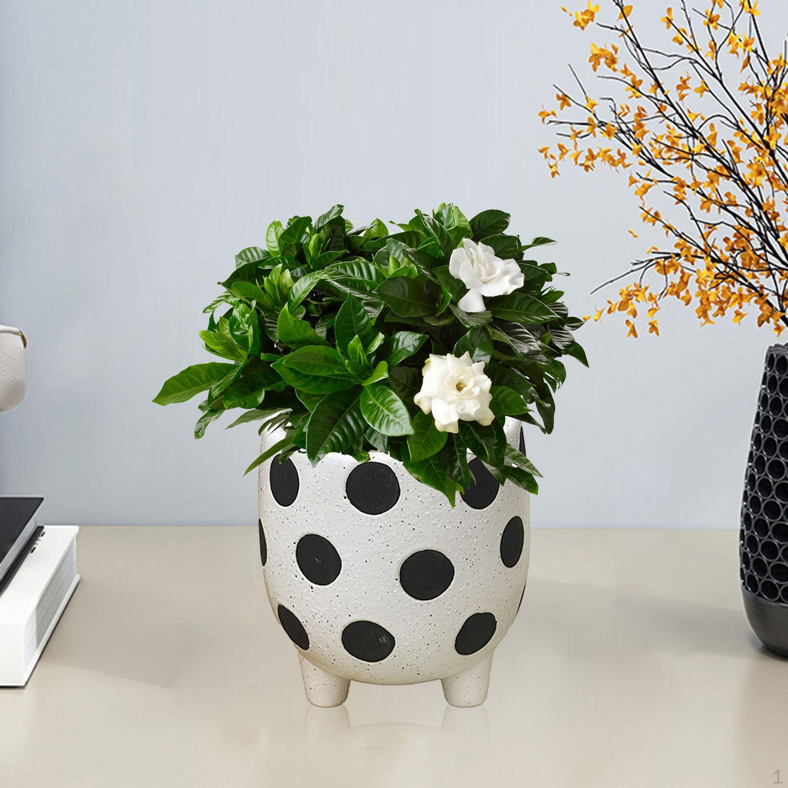 

Цветочный горшок Горшки Книжная полка Декор Подарочный кашпо Легкий бонсай Style A