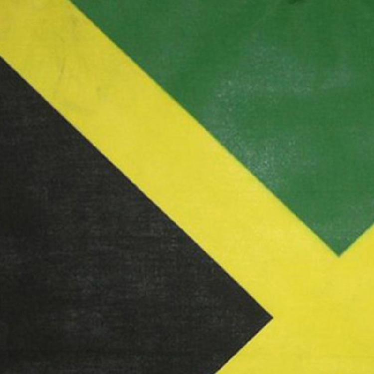 10Pcs Soft Cotton Bandana Scarf Set Jamaica Flag Design Multipurpose Headwrap Neck Cover For Hip Hop Dance Enthusiasts