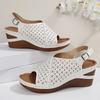 Fashion Hollow Out Wedge Sandals for Women Summer 2025 Chunky Platform Rome Shoes Woman Plus Size Vintage High Heels Sandles Female 43