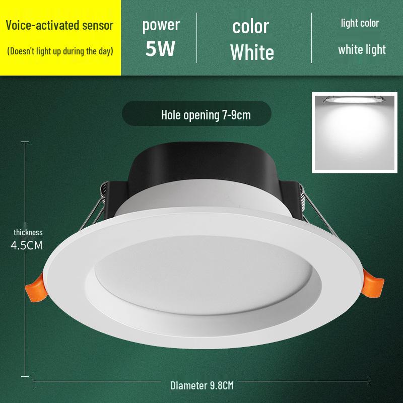 

Smart Voice-Controlled Motion Sensor Ceiling Downlight for Hallways and Entrances