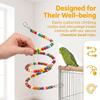 Interactive Hanging Hooks Bird Stand Colorful Beads Plastic Bird Swing Bendable Design Bird Activity Leg Exercise