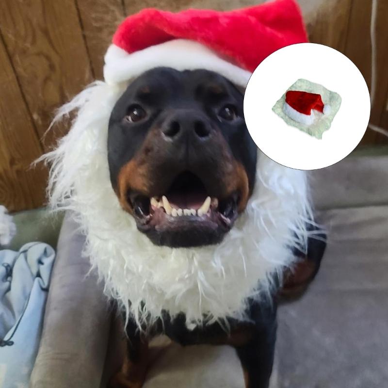 Dog Christmas Costume Lions Mane Wigs And Santa Hat For Holiday Parties Pet Dress Up
