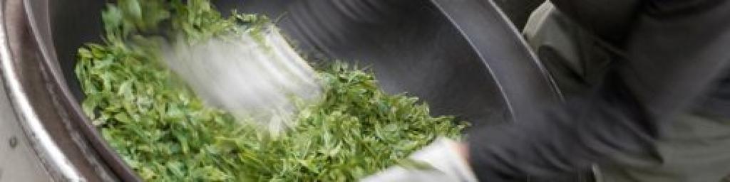 Miyazaki Sabo Organic JAS Certified Green Tea Powder, 60g