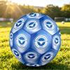 Brighton & Hove Albion FootballPrinted Size 5 Soccer Blbion Football, Anti Slip Adult Match Football Souvenir for Football Fans