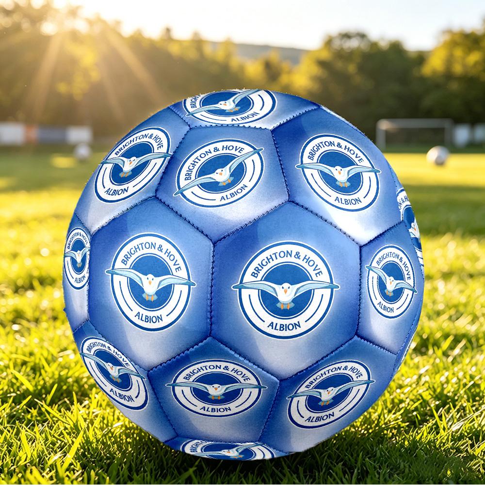 Brighton & Hove Albion FootballPrinted Size 5 Soccer Blbion Football, Anti Slip Adult Match Football Souvenir for Football Fans