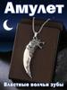 Magic Amulet, Talisman