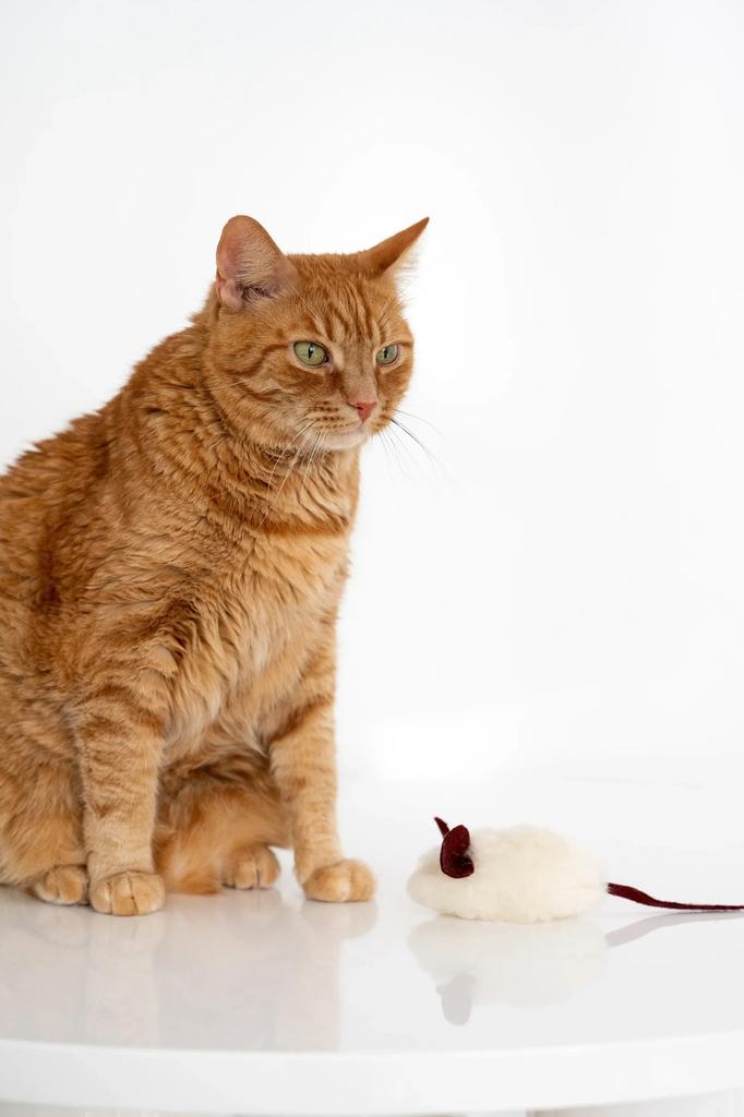 Natural Woolen Cat Toy: Mouse String
