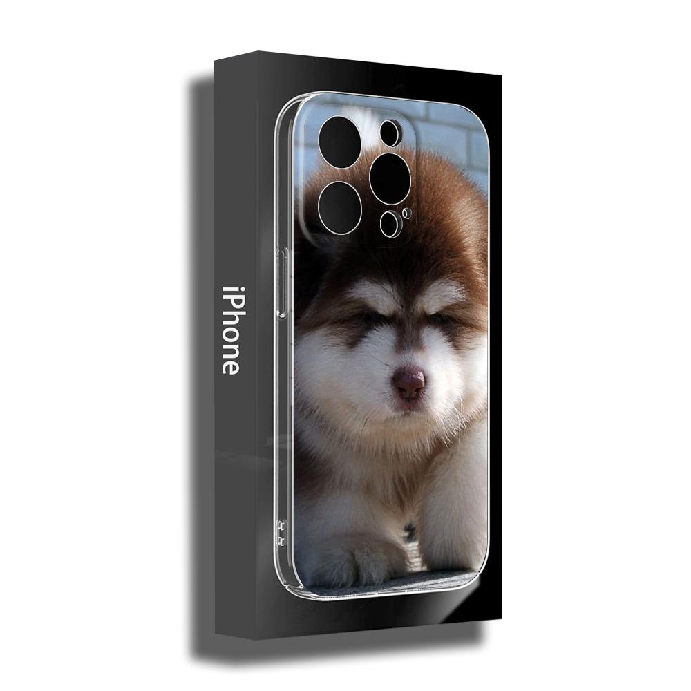 FOR IPhone Cute Alaskan Dog Phone Case FOR IPhone 14 11 12 Pro 8 7 Plus SE X Pro 14 MAX 12 13 MINI XR XS Iphone 14 Phone Covers
