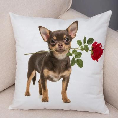Cat Dog Pattern Throw Cushion Cover Living Room Sofa Decor Home Chair Car Bedroom Decorative Pillowcase Soft Body Pillow Cases