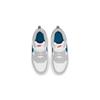 Nike Court Borough 2 Low Top Skateboard Shoes White Gray Blue Kids' BQ5451-117
