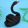 Outdoor Cute Floating Simulation Black Swan Ornament for Garden Courtyard Decoration