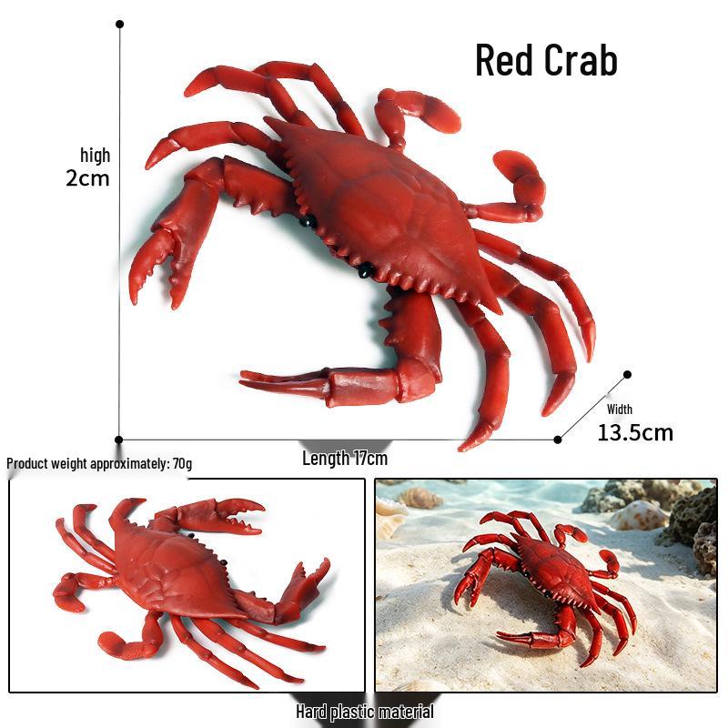 Ocean Crab Simulation Toy Set: Includes Hermit, Swimming, and Three-Spot Plastic Models