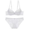 French Sexy Lace Bra Set,Push‑Up Bra Set for Small Bust,Gather Side Fat Lingerie Set