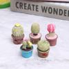 5Pcs Miniature Plant In Pot For Dollhouse Furniture Decoration Home