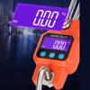 Digital Hanging Scale 660 LBs 300KG,Heavy Duty Waterproof Fish Scale - Portable Crane Scale for Luggage Weight