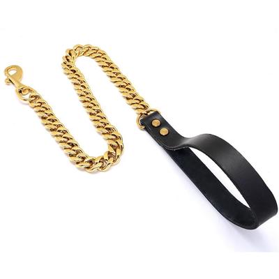 Spot 19mm Golden Stainless Steel Dog Leash for Medium and Large Dogs - Hot Selling