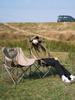 Outdoor Folding Moon Chair Portable Chair Camping Chair Picnic Gear Fishing Small Horse Stool Student Sketching