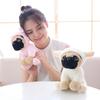 Transforming Plush Shar Pei Dog - Annual Mascot Puppy Doll Customization