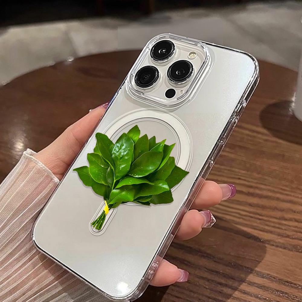 

Good Luck Pomelo Leaves Magnetic Phone Case for iPhone 17 Pro Max – Transparent, Hard, and Protective Apple 16 Pro