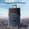 Newmine N550 12-inch Portable Outdoor Bluetooth Speaker (CN Version)