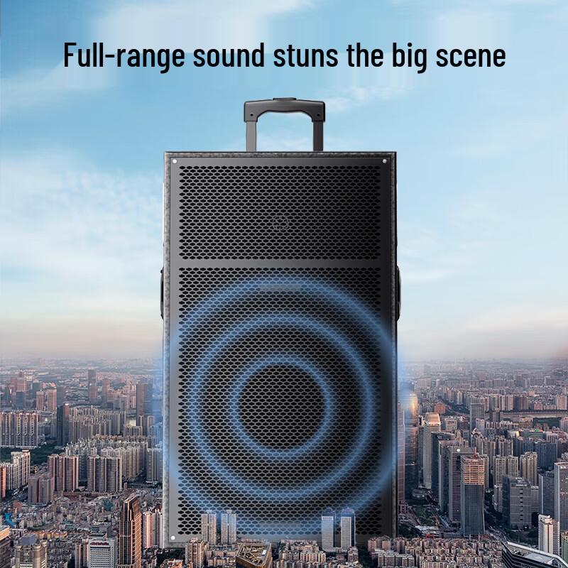 Newmine N550 12-inch Portable Outdoor Bluetooth Speaker (CN Version)
