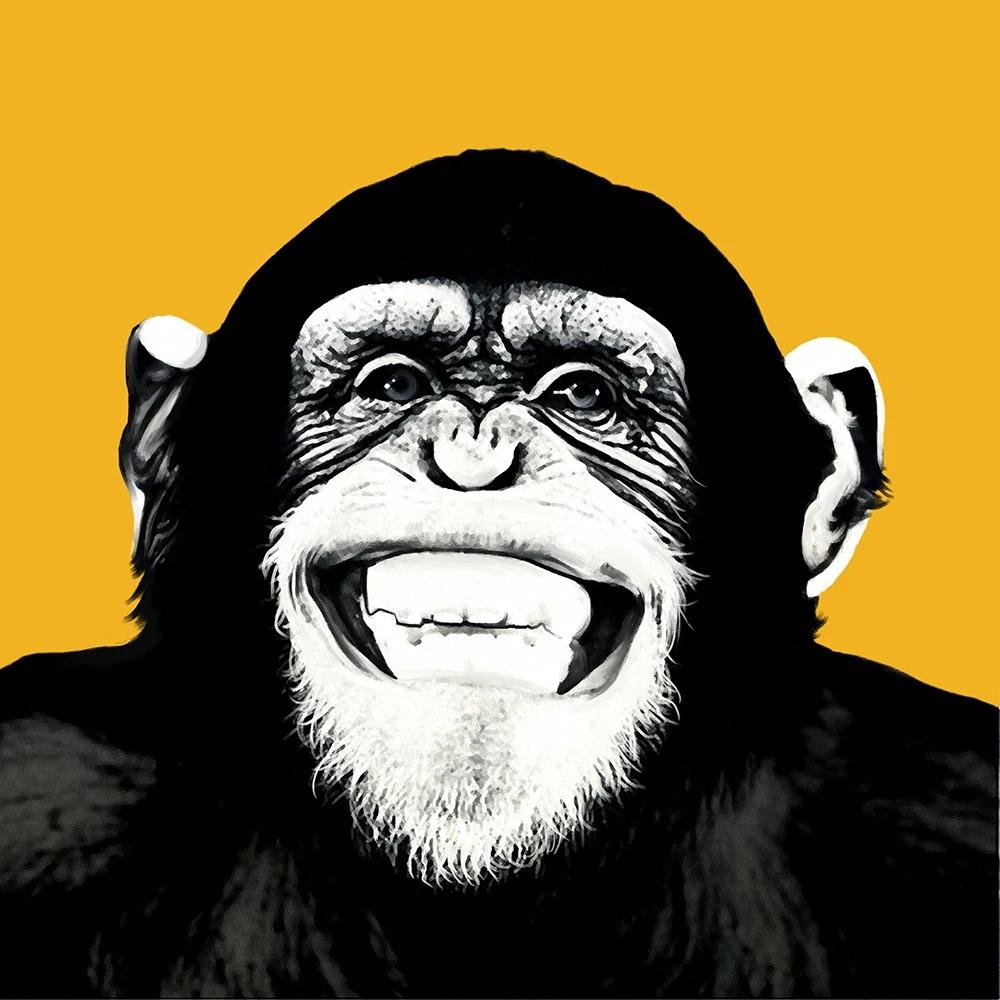 Colorful Gorilla Monkey Chimpanzee Earphones Art Canvas Wall Art Fun Animal Canvas Painting Living Room Home Decoration