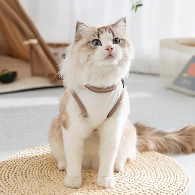 Dreidimensionale Tiertasche kann gezogen werden Ragdoll Katze blaue Katze Anti-Haarausfall dünne atmungsaktive Weste Teddy Haustier Katze Kleidung