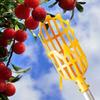 Fruit Picker Mesh Basket - Durable Plastic Fruit Catcher - Tool-Saving Gardening Tool for Safe & Efficient Harvesting