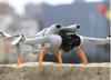 DJI Mini 3 Foldable Landing Leg Sled - Orange
