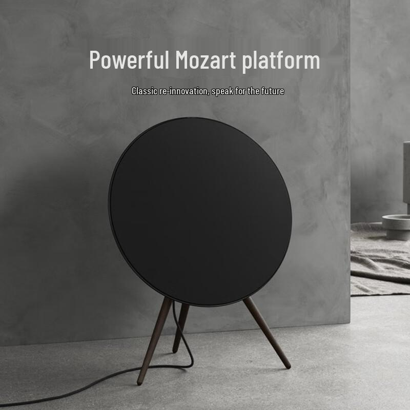 B&O Beosound A9 5th Gen Wireless Speaker