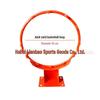 Canestro da Basket da Parete