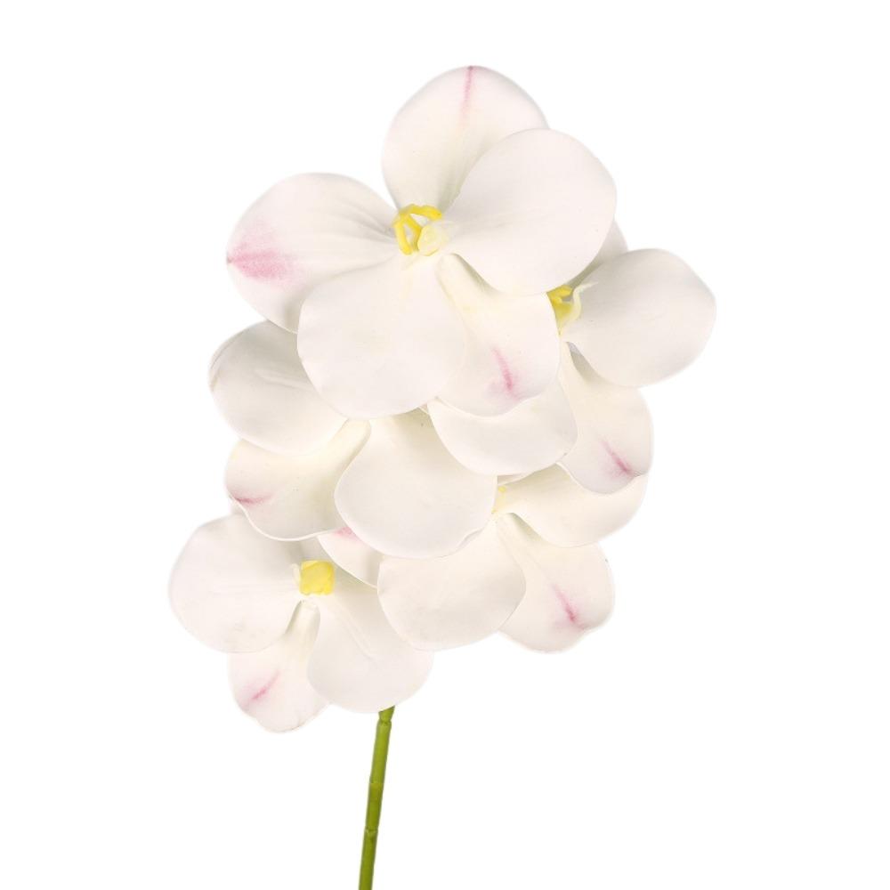 Echte Berührung Simulation Große Mottenorchidee Schmetterlingsorchidee Künstlicher Blumenast Lehrertag